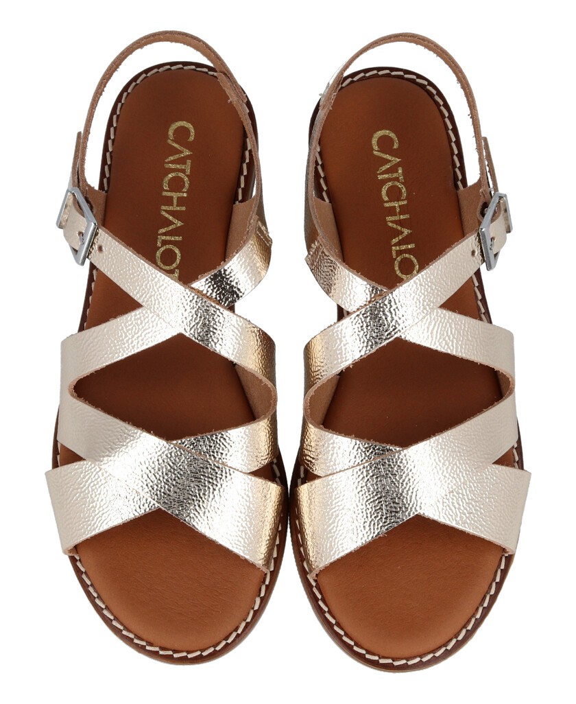 Roman metallic Catchalot 5572