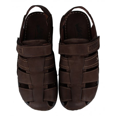 Fisherman Sandals Walk And Fly Darwin 5194 36410