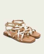 h2Sandalia de tiras dorada Porronet Vita 3121 h2 pDeslumbra con el calzado que te hara sentir como una estrella en tu dia a dia h2Sandalia de tiras dorada Porronet Vita 3121 h2 pDeslumbra con el calzado que te hara sentir como una estrella en tu dia a dia