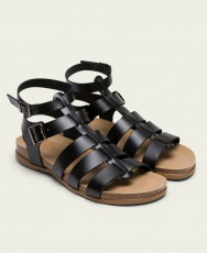 Sandalias romanas de piel Porronet Silvia 3135-001