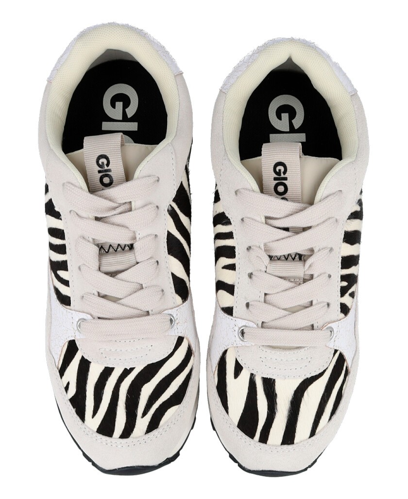 Zapatillas animal print Gioseppo Baroda 77007-P