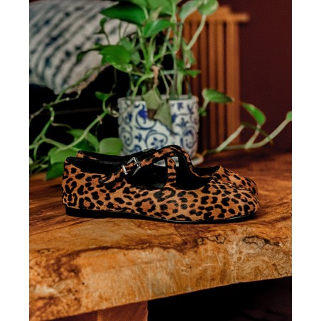 Zapato leopardo mujer Catchalot Dama