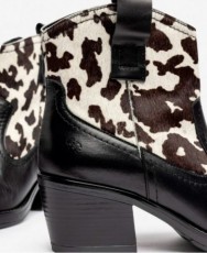 Botines animal print Yokono Brava-002