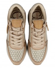 h2Zapatillas con toques metalizados Carmela 162281 h2 pThese beige women s sneakers are the perfect choice for those looking to h2Zapatillas con toques metalizados Carmela 162281 h2 pThese beige women s sneakers are the perfect choice for those looking to